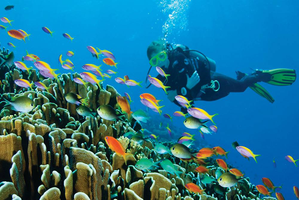 Kish-Diving- scuba diving - Persian Gulf